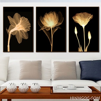 Light painting of flowers in the dark - HL0013