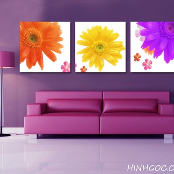 Chrysanthemum painting file on white background - FR322