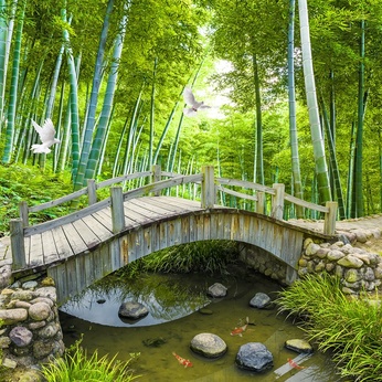 Bamboo forest wooden bridge wall background picture file - DT0004