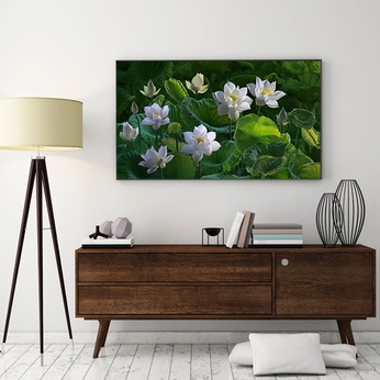 File of White Lotus Flower Art - S018