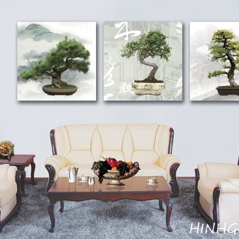 Bonsai picture file - HG324_13