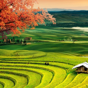 Landscape wall painting file of terraced fields - DT0005