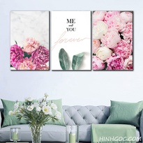 Peony picture file - HL0006