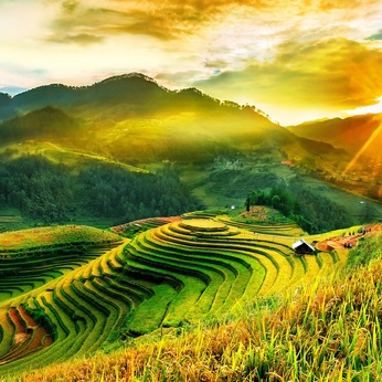 Free download landscape painting file of terraced fields - RBT0001