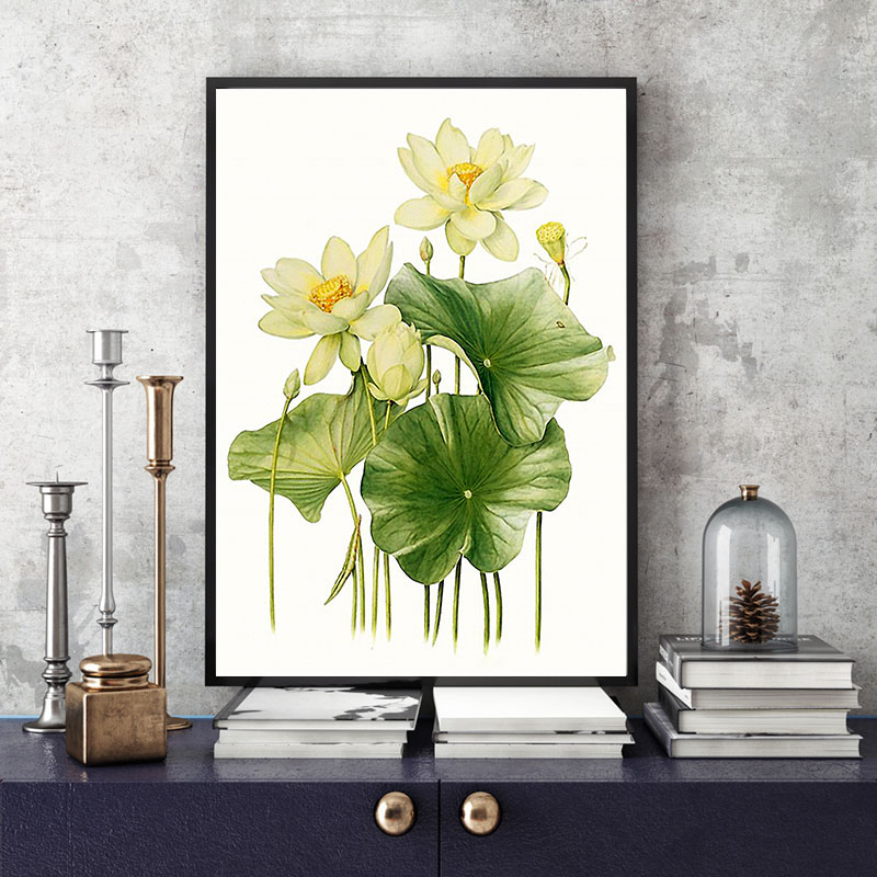 File of Hand-Painted White Lotus Flower Art - S021