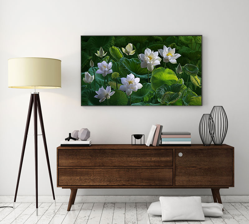 File of White Lotus Flower Art - S018