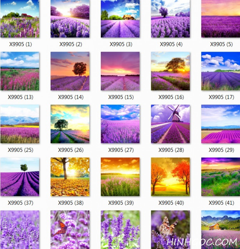 File set of lavender landscape paintings - T001