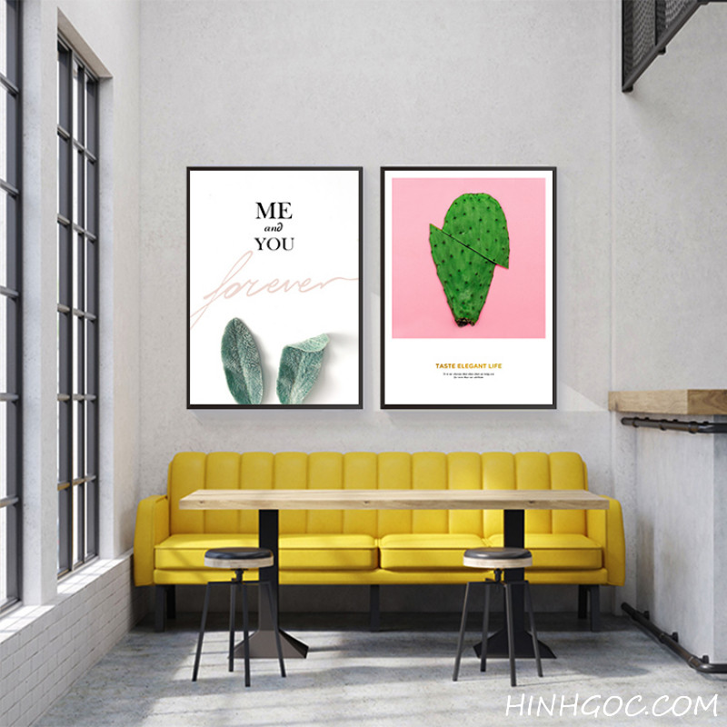 4-picture picture file combining plants and cactus flowers - HG402