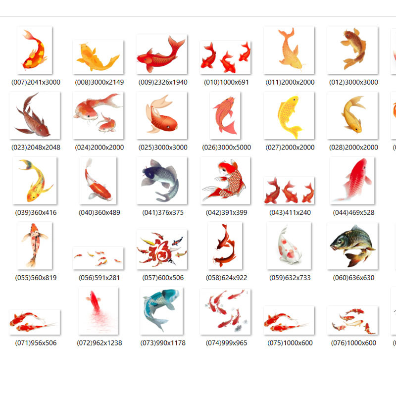 Free download 84 high quality PNG carp images - F107