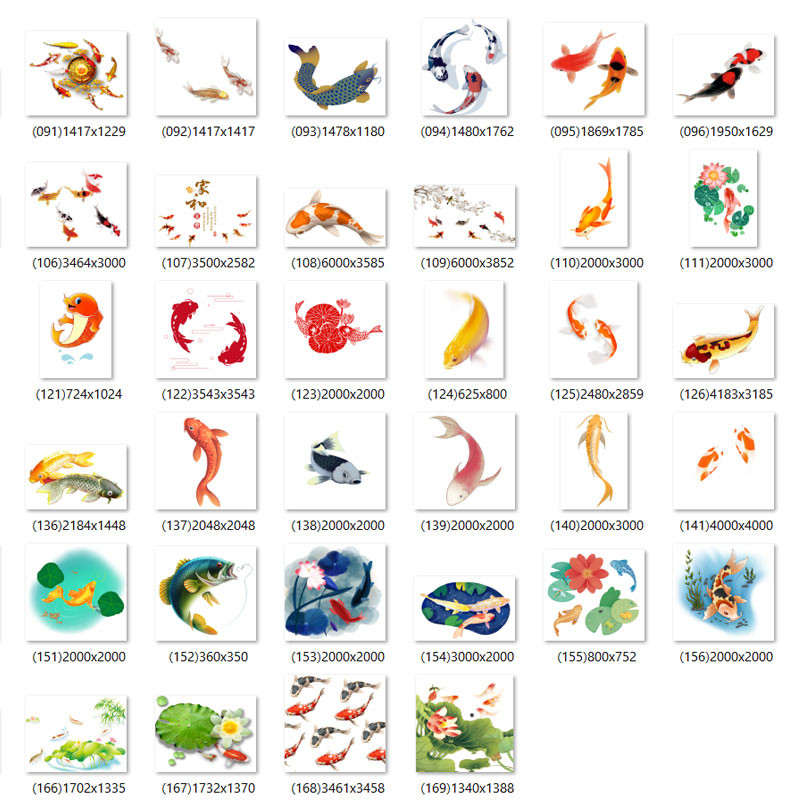 Free download 85 high quality PNG carp images - F108