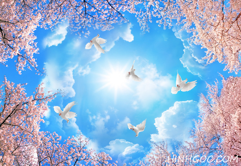 Blue sky ceiling painting file and pigeons behind the forest - TN0001