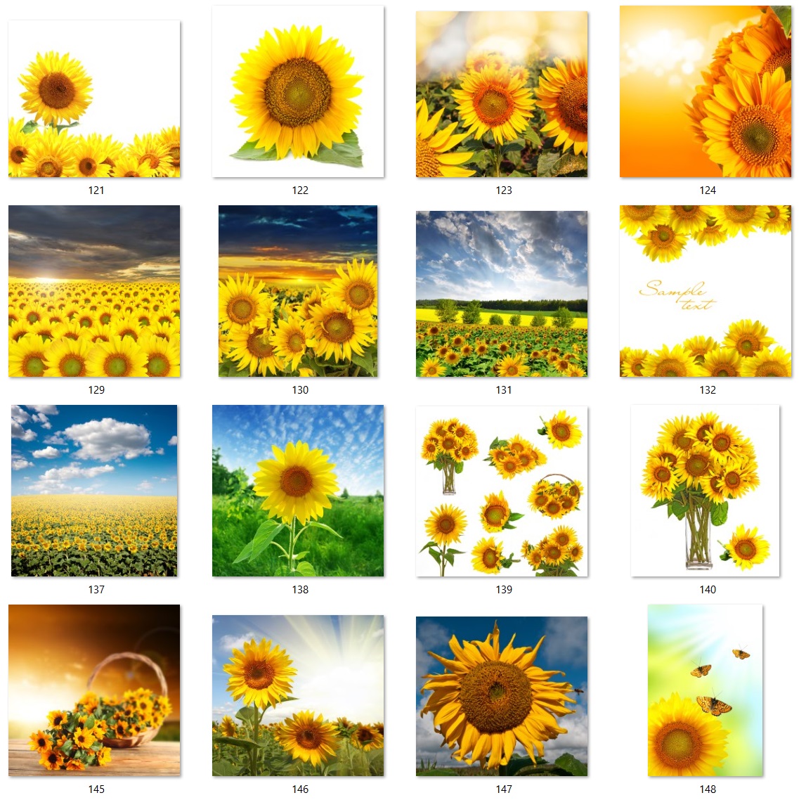 160 files of high quality flower paintings - HDA1