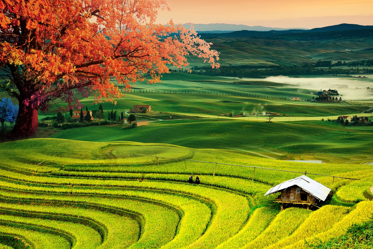 Landscape wall painting file of terraced fields - DT0005