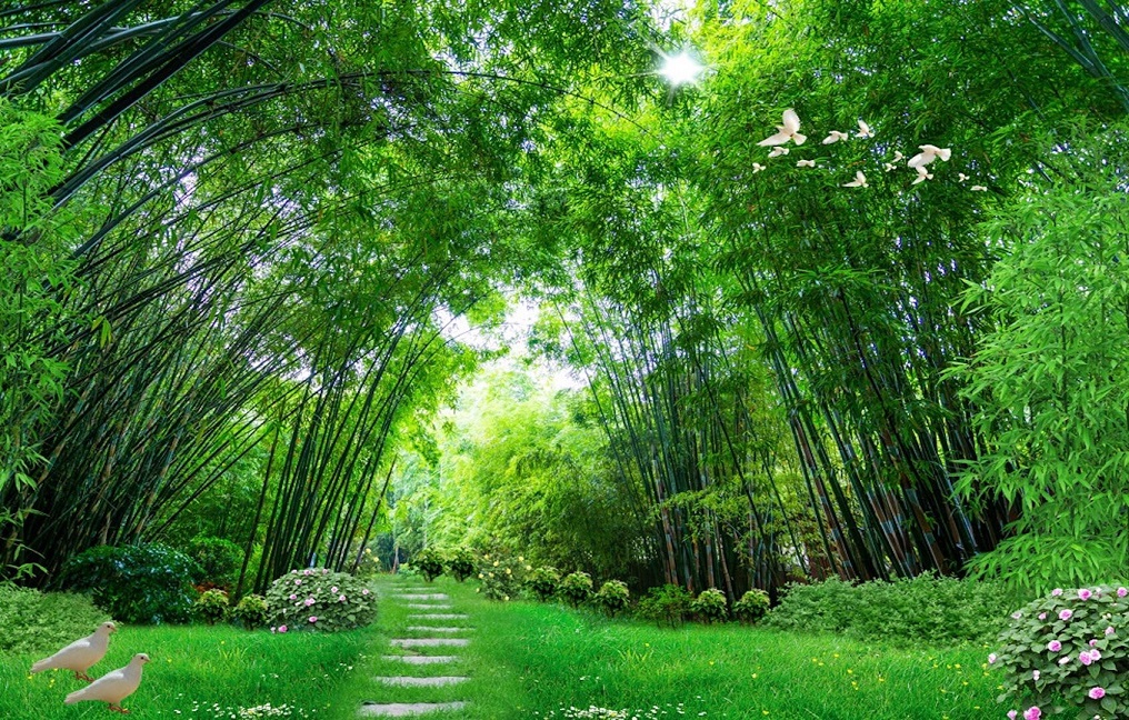 File of Wall Mural: Path Through a Bamboo Forest - DT033