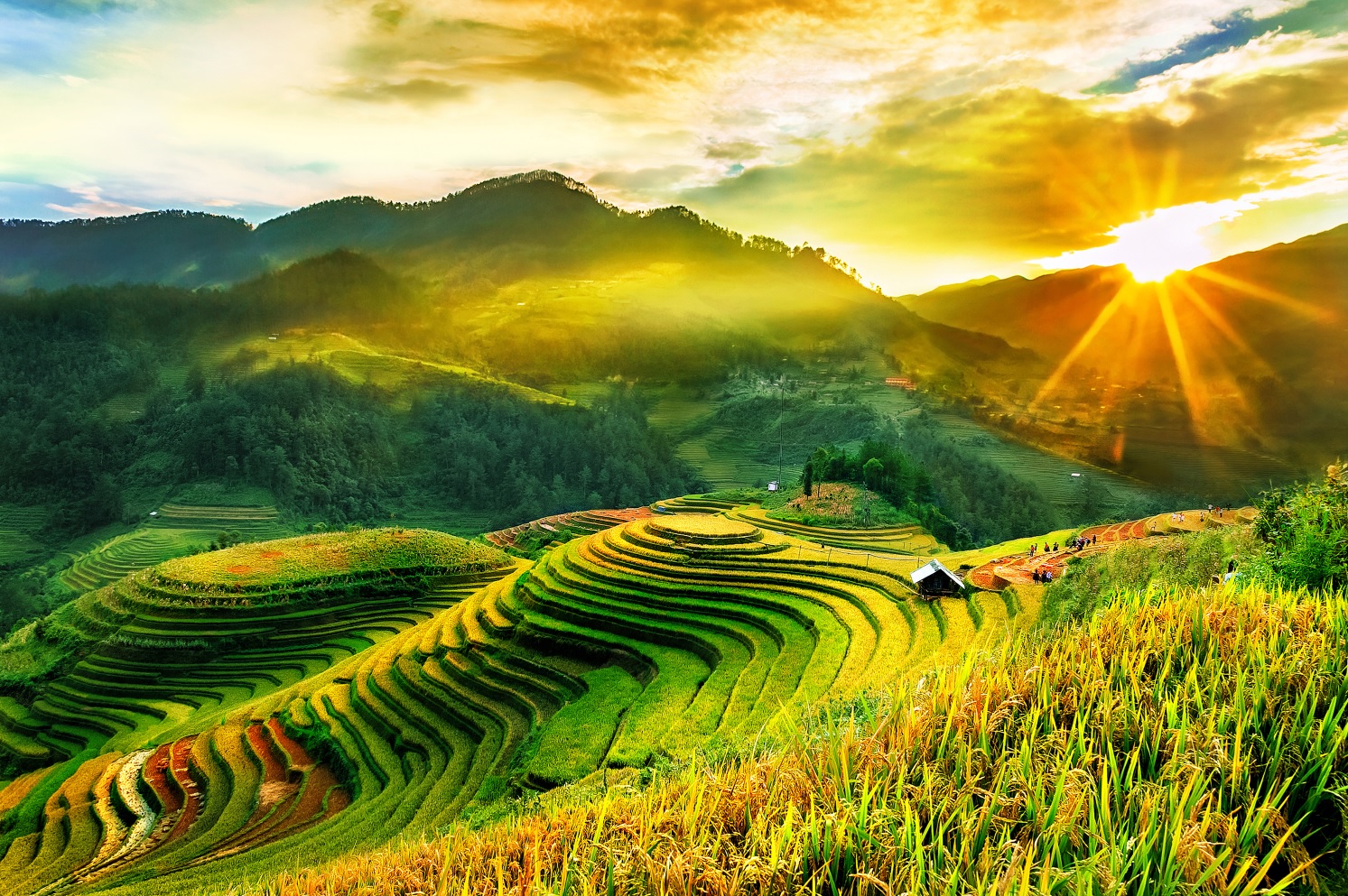 Free download landscape painting file of terraced fields - RBT0001