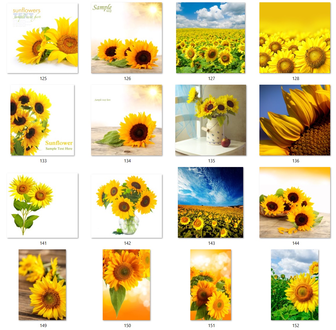 160 files of high quality flower paintings - HDA1