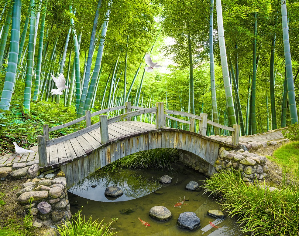 Bamboo forest wooden bridge wall background picture file - DT0004