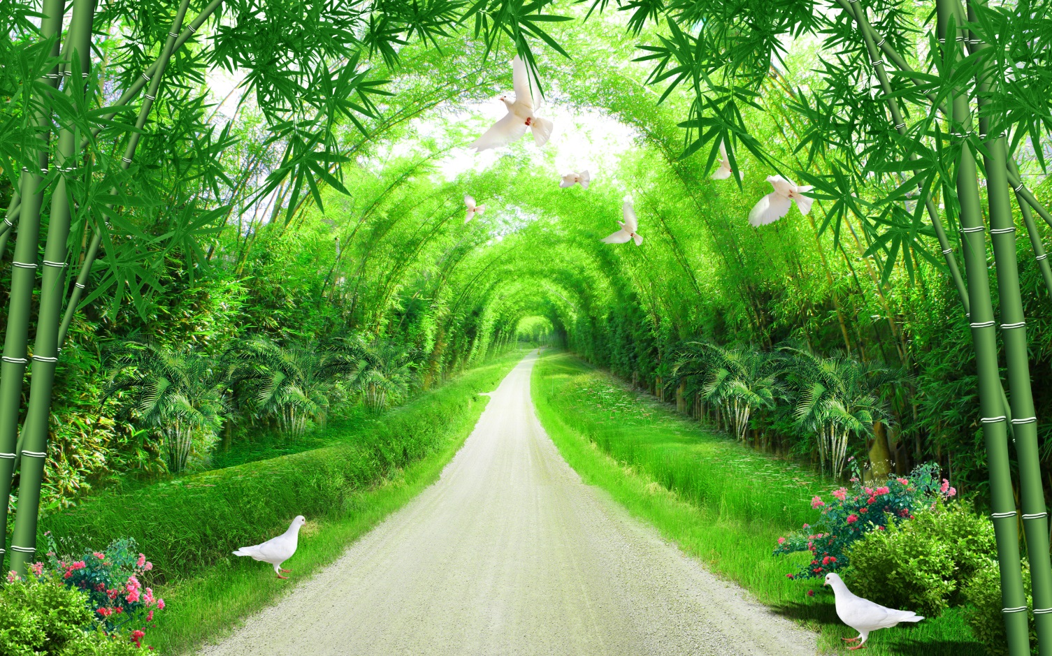 Picture file of landscape wall of green bamboo road - DT032