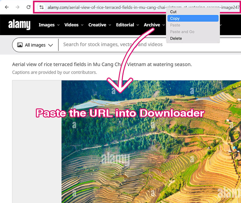 Alamy Downloader