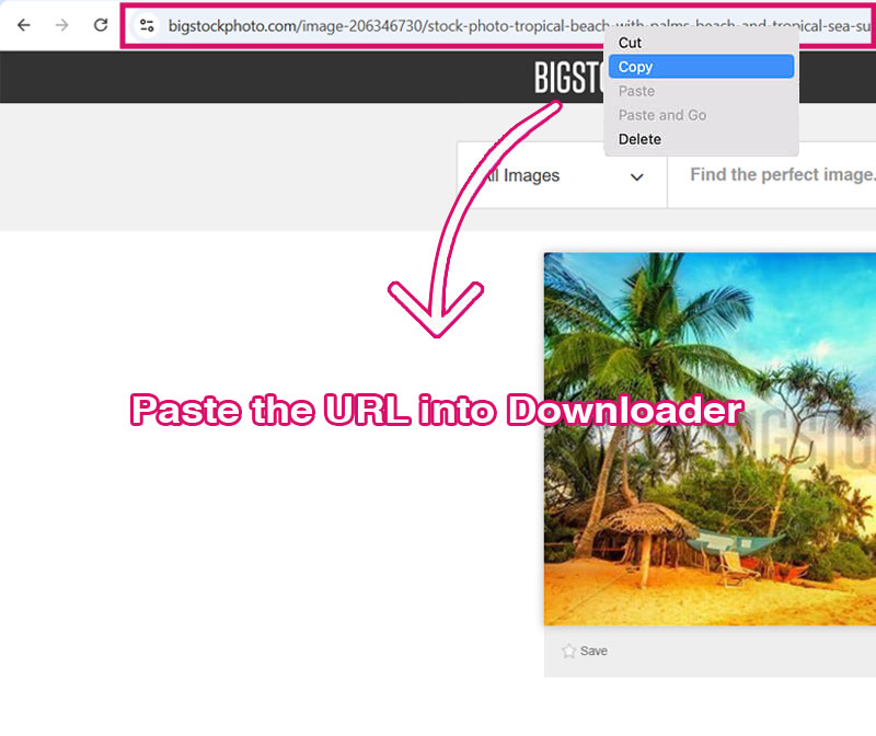 Get link BigStockPhoto.com - BigStockPhoto Downloader