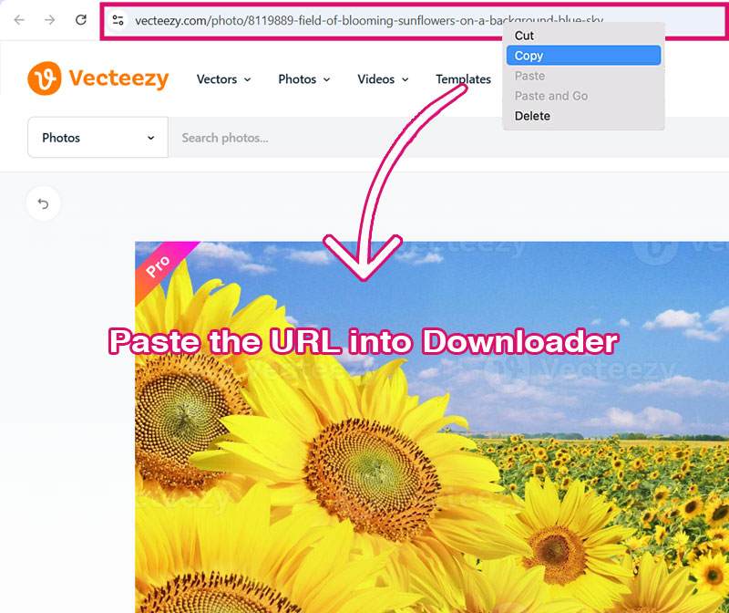 Vecteezy Downloader