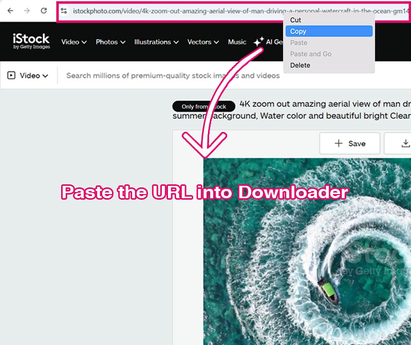 Istock Video Downloader