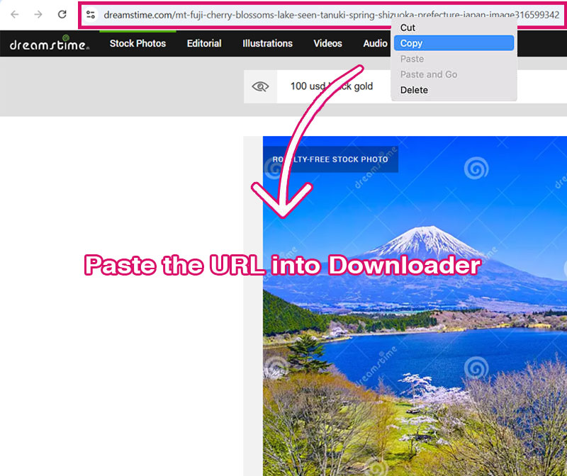 Dreamstime Downloader