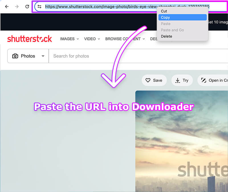 Shutterstock Downloader